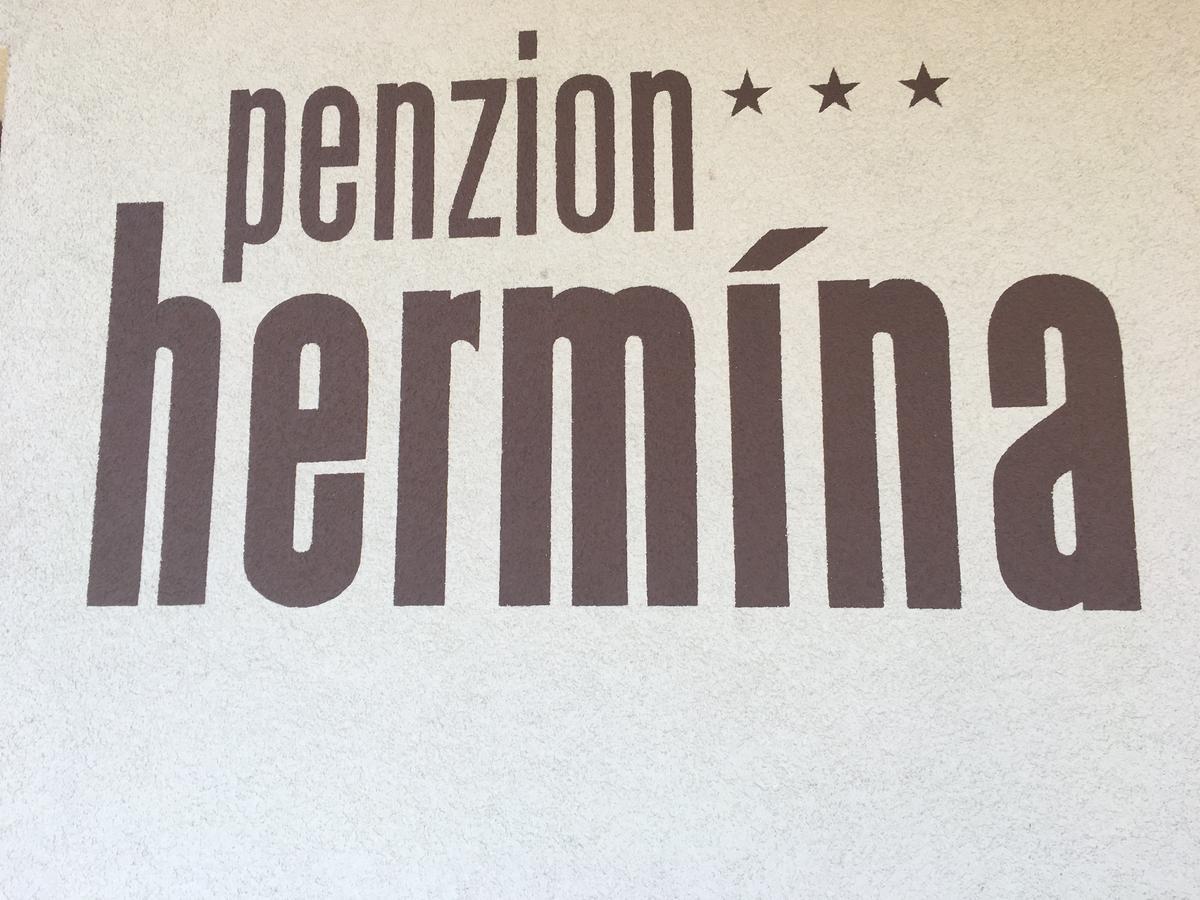 Penzion Hermina Veselí nad Moravou 外观 照片